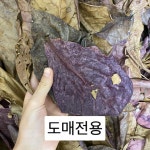 [ 칼루타아쿠아 ] (도매전용) 알몬드잎 1kg : 칼루타아쿠아틱