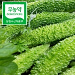 생여주 월출산자락 친환경 땅끝 여주 3kg : 청자골현우네농장