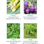 [황칠가] 황칠과 발효과학의 만남, 데일리클렌징폼 약산성 발효 천연 화장품 모든 피부용 저자극 순한 성분 민감성 피부 클렌징폼 100ml... 