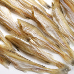 빅건어물 대구 반건조 노가리 중 400g 조미 두절 : 빅건어물