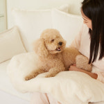 스테이 강아지 애착방석 마약 대형견 쿠션 : 제이디씨펫