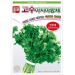 고수 씨앗 고수아시아향채 500g 샹차이 : 삼대씨앗