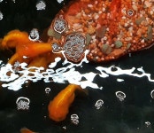 라이언헤드난주 : 아쿠아 플랜트