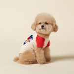 포독스 댕보 래글런 22FW ver. 레드 강아지 나그랑티 소형견 중형견 티셔츠 (SM - 4XL) : 포독스