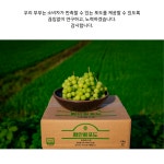 함안왕포도 샤인머스켓 4Kg 농산물우수관리인증 (5 - 7송이) : 함안왕포도 농장