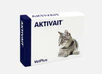 [벳플러스] 액티베이트 캣 60캡슐 : 구름동물병원
