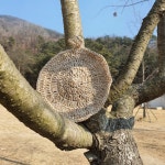 친환경천연 삼베수세미 핸드메이드 뜨게헹굼 수세미 제로웨이스트 사과 수세미 : 꿈밤공방