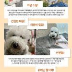 대형견바리깡 반려견 전문가용 애견 펫 바리깡 이발기 : 우춘상회