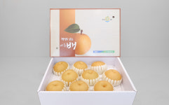 [나주배원예농협] 나주배 24년산 추황 가정용 5kg 13-15과 소과 과실이 더 작아요 : 나주배원예농협 쇼핑몰