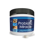 누센티아 아기 새끼 고양이 강아지 설사 유산균 파우더 가루 43g : 코아 스토리