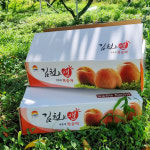 하늘사랑농원 새콤 달콤 향긋한 복숭아 노지 딱딱이 말랑이 딱딱한 복숭아 황도 백도 경봉 : 오로로데일리