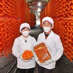 상주 곶감 한입 쏘옥 크림치즈 곶감 호두말이 실속형 추석 선물세트 : 상주으뜸농원곶감