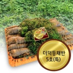 고랭지 횡성 재배 더덕(상) 2.3kg-2.8kg 등채반포장 : 몽동마트