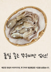 옹골찬 양념 쭈꾸미 볶음 500g : 참봉평메밀