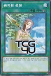 금지된성창 (ST19-KR028) Normal 한글판 유희왕 : TCG포유