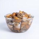 동해안 포항 제철 활 백고동 백골뱅이 통골뱅이탕 1KG  자연산 생물 : 해적장터