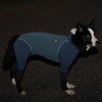 알파아이콘 2022 W.풀 독 가드 포레스트 그린 W. Full Dog Guard Forest Green : 갱스터도그