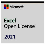 마이크로소프트 MS Excel 2021 한글 라이선스 /기업용CSP 라이선스/하위버전지원 : 소프트존