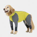 알파아이콘 2022 W.풀 독 가드 밤부 W. Full Dog Guard Bamboo : 갱스터도그