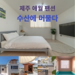 힐링형 제주 애월 팬션 수산에 머물다 : 울릉크루즈여행 유디투어