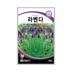 라벤다 100립 허브씨앗 종자 꽃씨 꽃씨앗 : mk글로벌