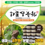 하늘땅농원 열매마,열매마분말 : 하늘땅농원무안