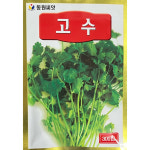 고수 코리앤더 샹차이 실란트로 빈대풀 팍치 씨앗 종자 300립 26년포장 동원농산종묘 : 팜씨드