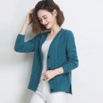 짧은 봄 가을 패션 카디건 스웨터 서양식 자켓 11891040N4087850117 : 직구아티스틱