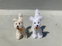 복슬강강쥬 : 두심이네 인형가게