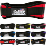 SCHIEK 쉬크 헬스벨트 리프팅 웨이트 시크 벨트 헬스 허리보호대 10cm 단색 : N펀키보이