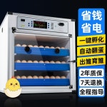 대형 병아리 부화기 파충류 닭 오리 알 부화기 : 엉뚱한 사람들