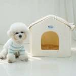 레드퍼피/블라썸하우스 : REDPUPPY