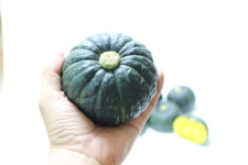 제주 미니 밤호박 2kg/3kg/5kg : 싱싱마켓