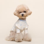 데일리 강아지내복 애견 가을옷 긴팔티셔츠 실내 : Cosse-mall