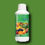 대유 슈퍼50 1L 해조추출물 옥신 사이토키닌 알긴산 냉해 동해 예방 치료 : 농경의민족