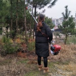 나무가지치기 톱 고지 고소 벌목 과수원 농장 쏘 소형 : 더곳트