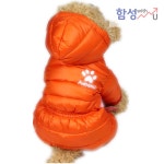 강아지 패딩 클리어런스 솜털 테디펫 재킷 다운 네발 두꺼운 따뜻한 옷 겨울옷 : 리유진
