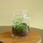 나만의 작은 정원 공기정화 테라리움 DIY 키트 : 아틀리에라윤