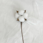 목화 다발 (4 color / H 45cm) : 플레르데코