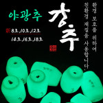 야광 구멍봉돌 8호 10호 12호 14호 16호 18호 구멍추 쭈꾸미 갑오징어 유동채비 : 낚시대전