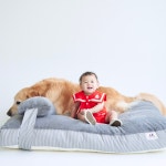 HISDOG 네모의 꿈 강아지 애견 베개 침대 2XL 중대형견 쿠션 방석 침대 : JK라이프