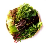 [청보] 친환경 모듬쌈 200g : 사회적기업 청보