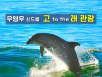 우영우 신드롬 - 고투더래 관광 : 삼진여행