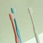 기린칫솔-1세트 6개, 세트 추가 구매마다 +5% 더 - 시그니처 쟁여놓기 찬스  소형견 고양이 반려동물칫솔 : 애니멀 닥터