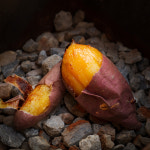 꿀고구마 특5kg : 상우농산