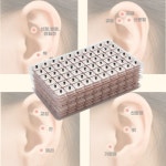 채령귀침 귀지압패치 이혈기석 귀혈자리 이혈테라피 건강관리 780매 : 스칼렛mall
