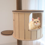 모든펫 캣폴 단품 - 하우스 (미니멀/러블리/스퀘어) : 모든 펫