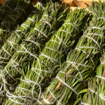 제주도 로즈마리 허브 인센스 스머지스틱 아로마테라피 인테리어 소품 벌레퇴치 그로서리에이치 : 그로서리에이치