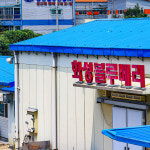 웰루츠 국내산 무농약 냉동 블루베리 500g, 2개 : 웰루츠