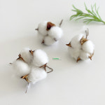 목화꽃 목화솜 드라이플라워 리스 DIY 부자재 : 한국이따봉이